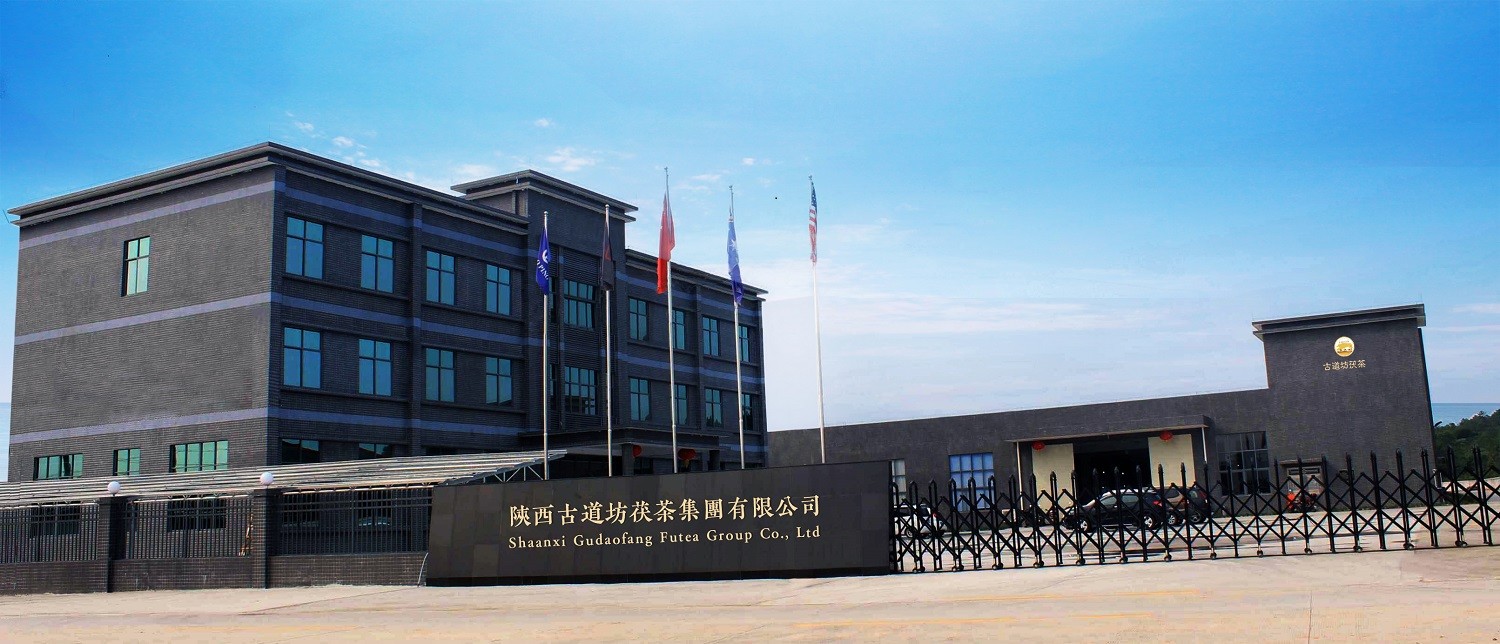 Chine Shaanxi Gudaofang Futea Group Co., Ltd. Profil de la société