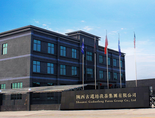 Chine Shaanxi Gudaofang Futea Group Co., Ltd. Profil de la société