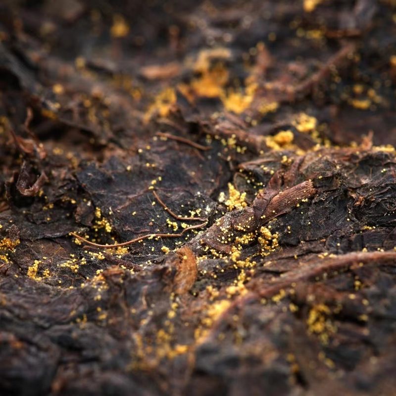 Fabricants de thé sur mesure Thé noir chinois chaud Comprimé de 5 à 10 ans